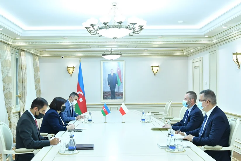Azerbaijani Speaker blames Armenia for hindering regional stability