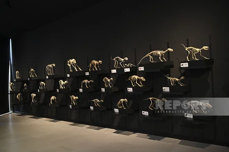 Palçıq Vulkanları Turizm Kompleksinə giriş üçün biletin qiyməti açıqlanıb