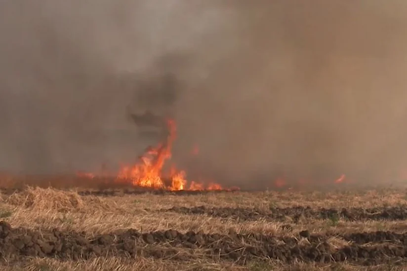 FHN yanğın təhlükəsizliyi ilə bağlı əhaliyə müraciət etdi - VİDEO