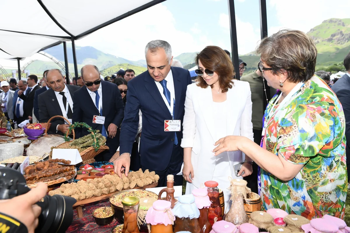 Naxçıvanda “Qərbi Azərbaycana qayıdış” festival-konqresi keçirilir