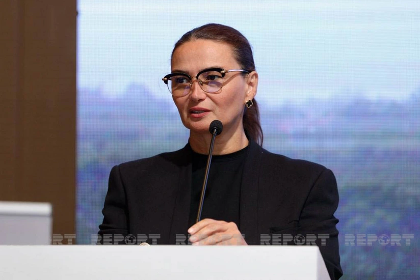 Deputat: “Bəzən şəhid ailələri və qazilər məşğulluq üçün verilən avadanlıqları istifadə edə bilmirlər”