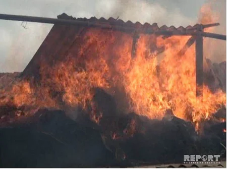 Neftçalada evin çardağına yığılmış 1200 ədəd ot bağlaması yanıb - FOTO