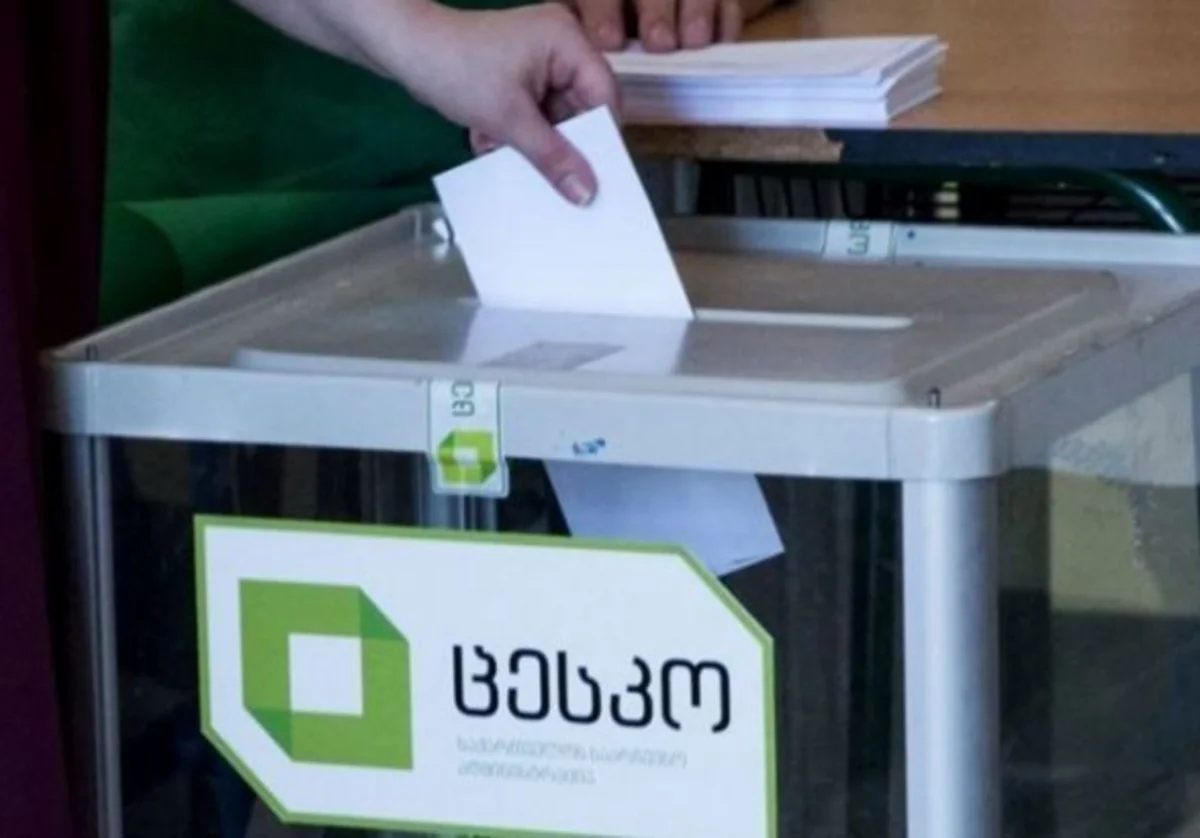 Правящая партия Грузии заявила о нарушениях в ходе выборов президента