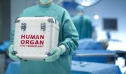 Bu ilin altı ayında icbari tibbi sığorta təminatı ilə 80 orqan transplantasiyası əməliyyatı icra olunub