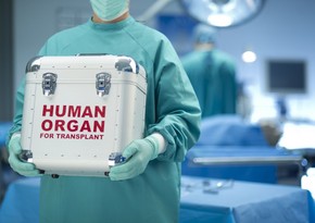 Bu ilin altı ayında icbari tibbi sığorta təminatı ilə 80 orqan transplantasiyası əməliyyatı icra olunub