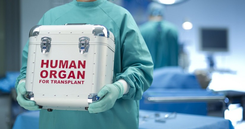 Bu ilin altı ayında icbari tibbi sığorta təminatı ilə 80 orqan transplantasiyası əməliyyatı icra olunub