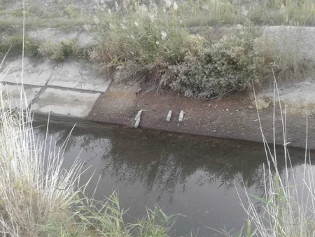 Füzuli rayonunda su kanalından 6 ədəd top mərmisi tapılıb