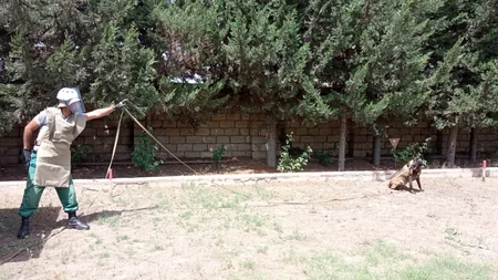 Minatəmizləmə fəaliyyəti ilə bağlı uşaqlar üçün maarifləndirici ekskursiya təşkil edilib