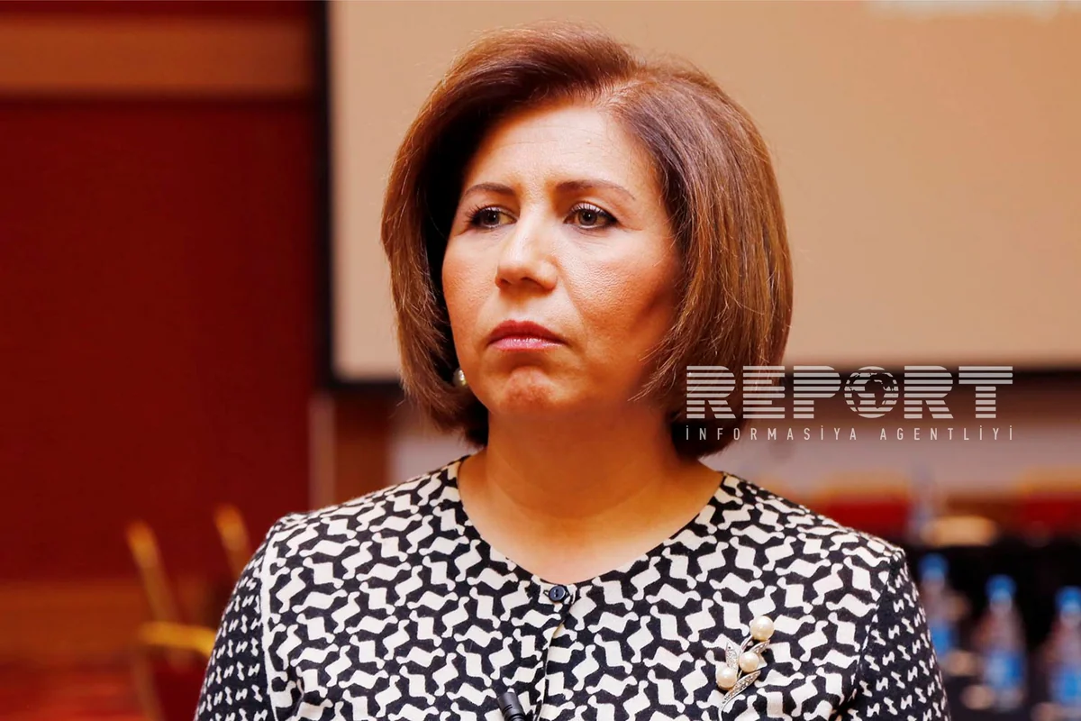 Milli Məclisin sədr müavini: Seçki Məcəlləsində heç bir dəyişikliyə ehtiyac yoxdur