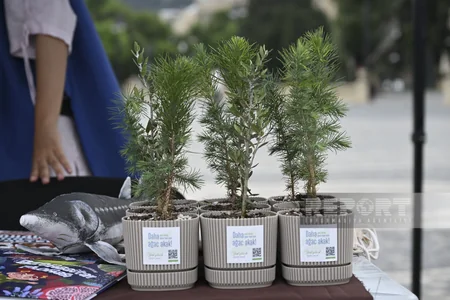 Azərbaycanın milli parklarının tanıtımı ilə bağlı hər ay tədbirlər keçiriləcək - YENİLƏNİB