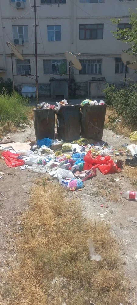 В Сабирабаде оштрафованы лица за несоблюдение требований по охране окружающей среды