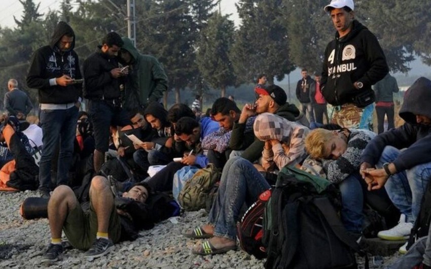 Lithuania eyes paying illegal migrants for their return home