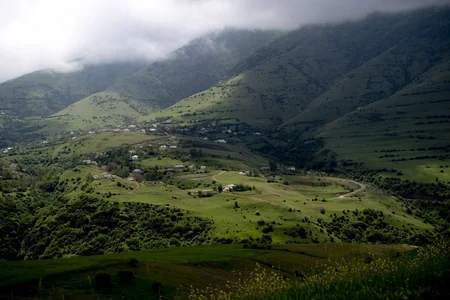 Azərbaycanda qoyun sürülərinin yaylağa köçü başlayıb
