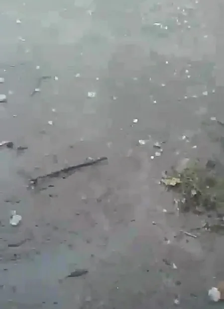 Qubaya yağan dolu bir sıra kəndlərə ziyan vurub - FOTO - VİDEO