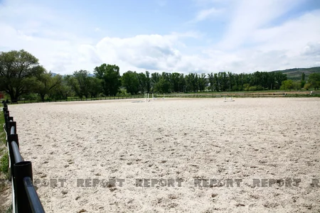 Karabakh horses and Georgia - RESEARCH