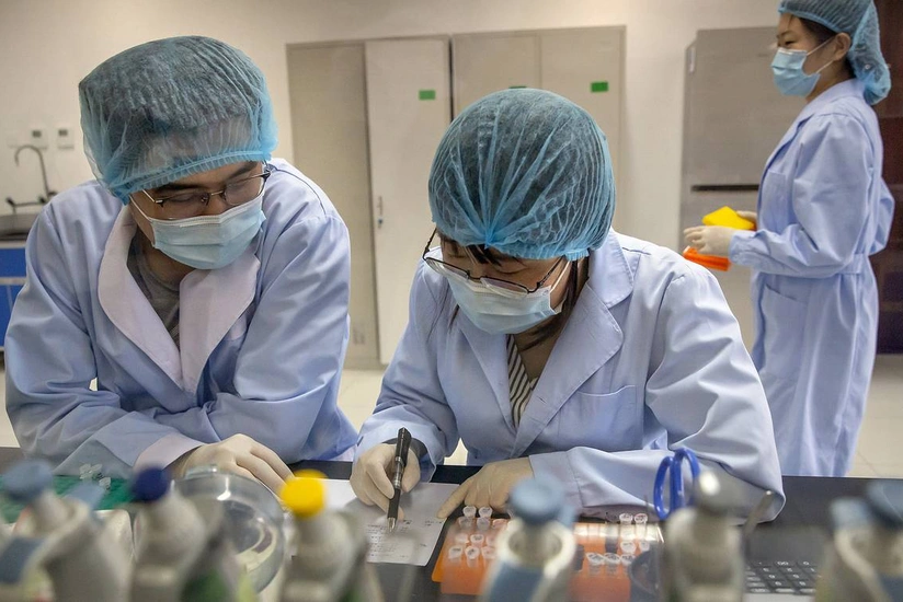 Среди летучих мышей на юге Китая нашли ближайшего родственника SARS-CoV-2