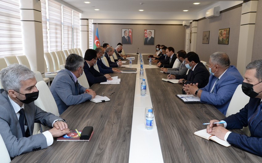 Dövlət Statistika Komitəsi UNICEF-lə İş Planı imzalayıb