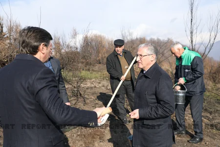 Qəbələnin yanğına məruz qalmış meşə sahəsinə ağac toxumları səpilib