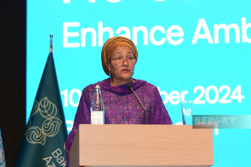 BMT Baş katibinin müavini COP29 sədrliyinə təşəkkür edib