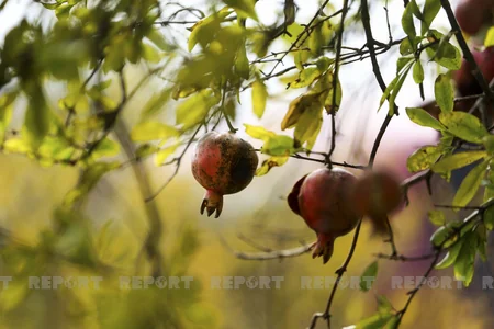 Облик северных врат Карабаха меняется - ФОТОРЕПОРТАЖ