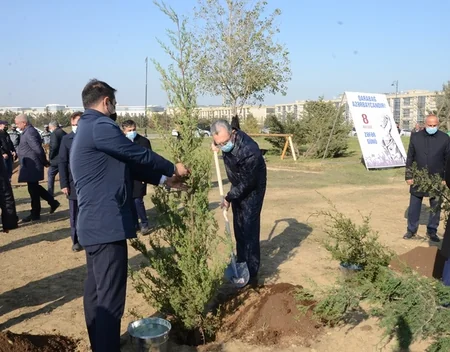 Bakıda Zəfər Günü münasibətilə ağacəkmə aksiyası keçirilib