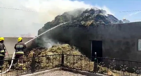 Şərurda həyətyanı sahədə yanğın olub