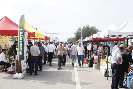 Ağcabədidə Aqrar İnnovasiya Festivalı keçirilib