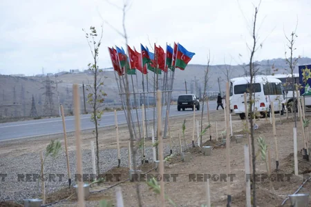 Azərbaycan Türkiyənin aksiyasına qoşulub