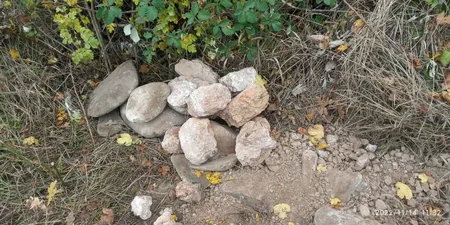 Qubada çaydaşlarından və bişmiş kərpicdən ibarət divar aşkarlanıb