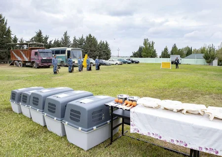 Gömrük Komitəsi ANAMA-ya 5 it ianə edib