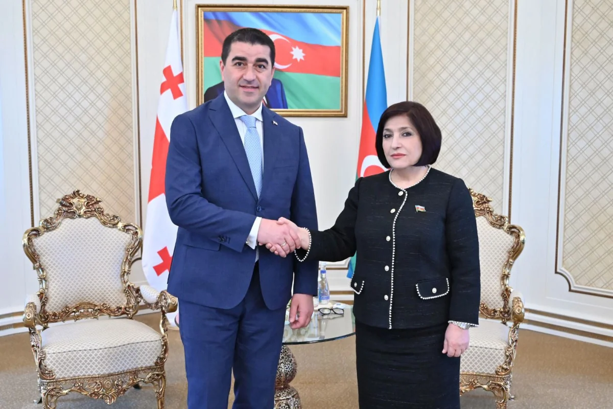Azərbaycan və Gürcüstan parlamentlərinin sədrləri görüşüb