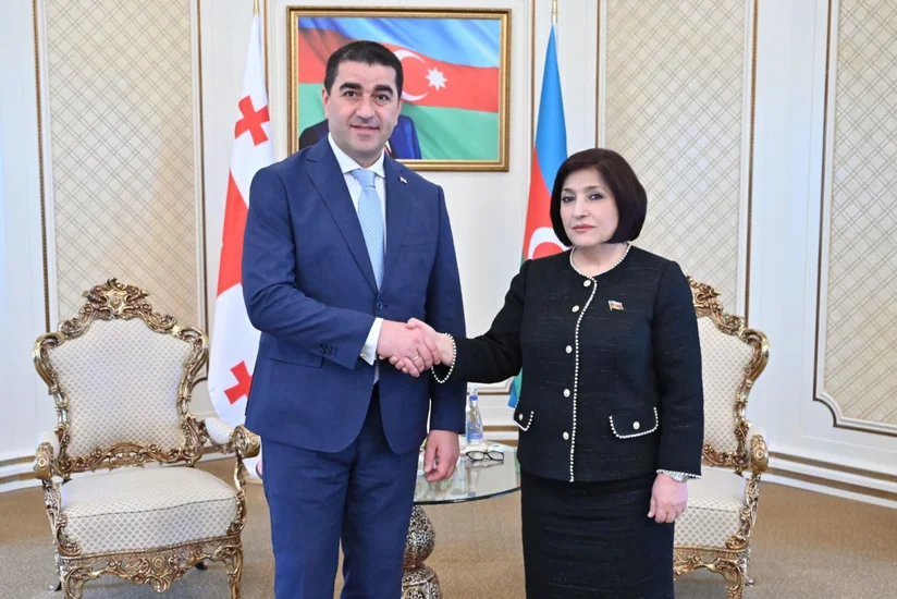 Azərbaycan və Gürcüstan parlamentlərinin sədrləri görüşüb