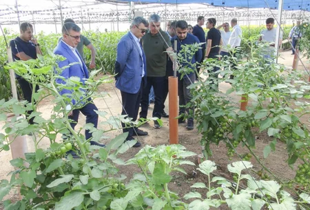 Azerbaijan, Israel to expand agricultural cooperation 