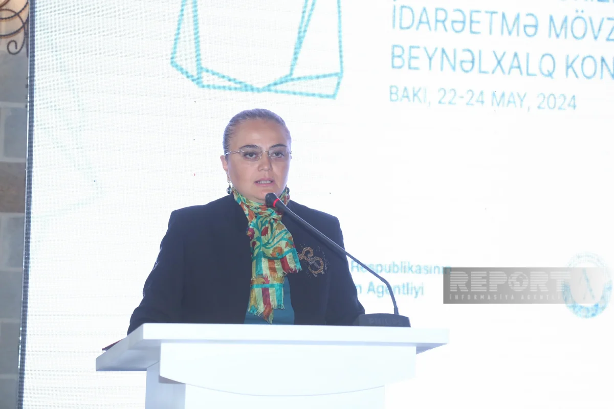 Nazir müavini: Qarabağda və Şərqi Zəngəzurda 705 abidə dövlət qeydiyyatına alınıb