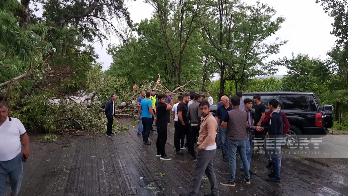 Göyçayda güclü külək 2 nəfərin ölümünə səbəb olub, yaralananlar var