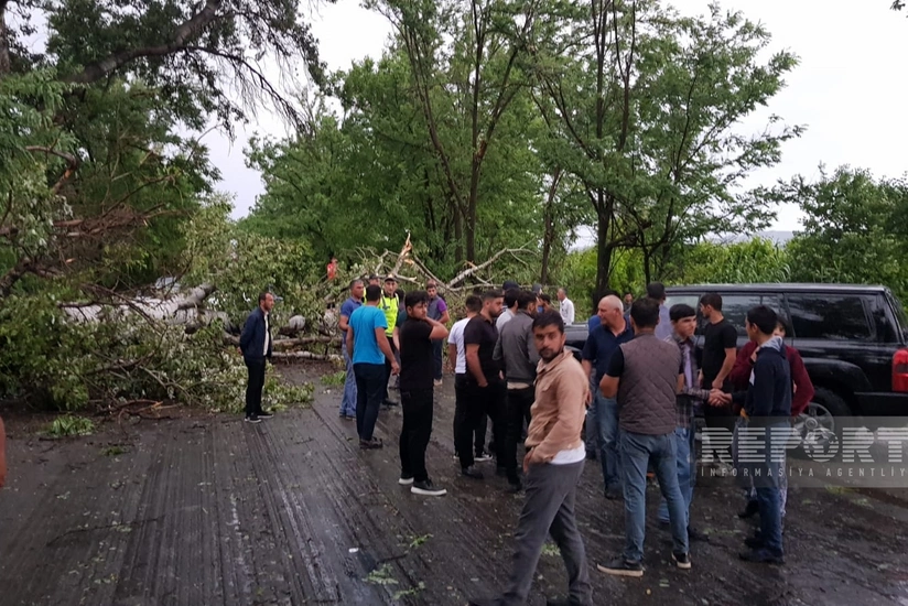 Göyçayda güclü külək 2 nəfərin ölümünə səbəb olub, yaralananlar var