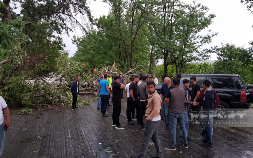 Göyçayda güclü külək 2 nəfərin ölümünə səbəb olub, yaralananlar var