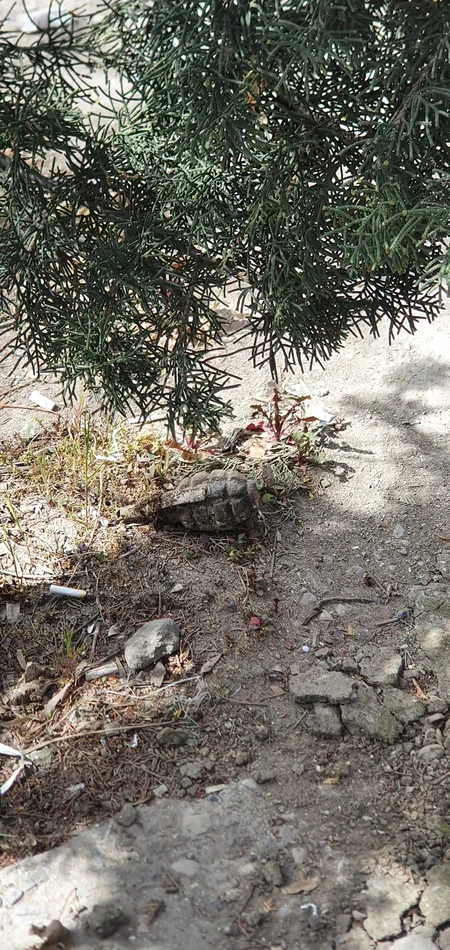 В Баку обнаружена граната