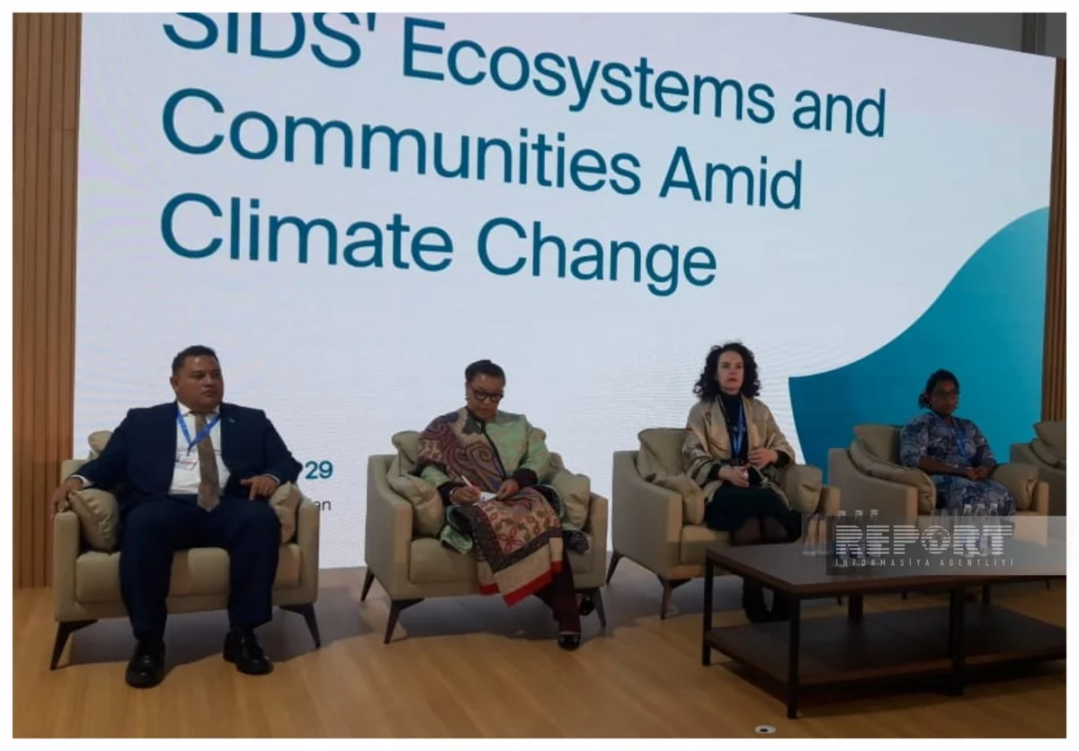 Maina Talia: “Dəniz səviyyəsinin artması ilə bağlı təcili şəkildə addımlar atılmalıdır