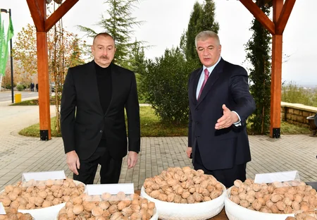 İlham Əliyev “Şəki-Oğuz” Aqroparkında yaradılan şəraitlə tanış olub - YENİLƏNİB