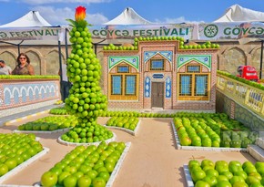 Naxçıvanda “Göycə” festivalı keçirilir