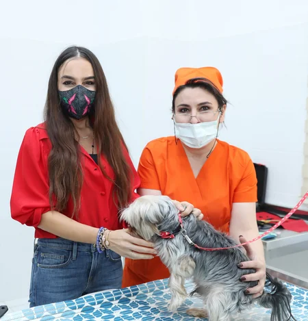 Bakıda Cənubi Qafqazın ən böyük və ən müasir Baytarlıq Klinikası açılıb