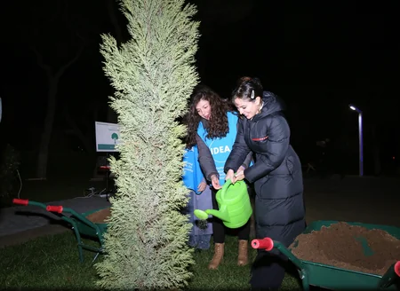 Leyla Əliyevanın təşəbbüsü ilə Bakıda ağacların qeydiyyatı və nömrələnməsi üzrə layihəyə start verilib