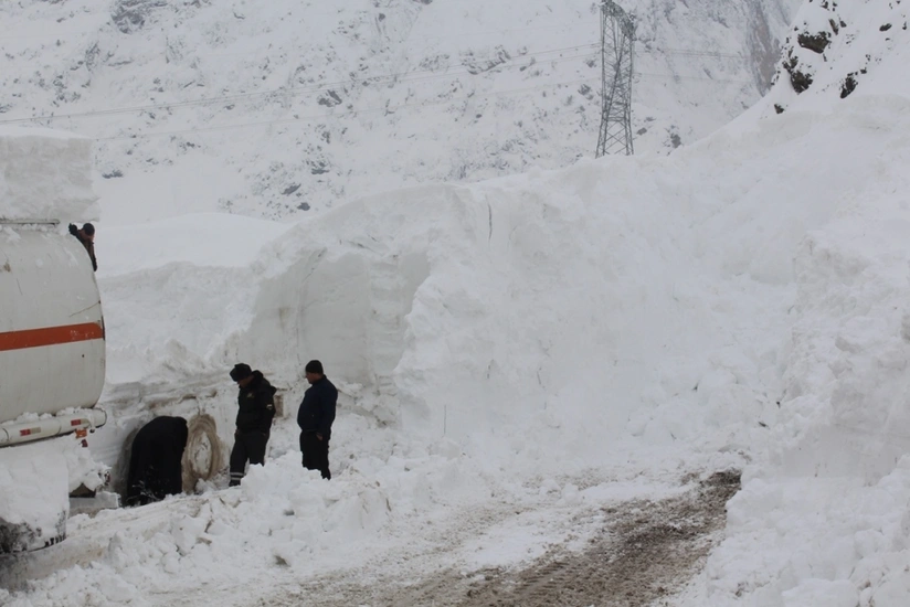 В Таджикистане погибли 9 человек в результате схода лавины