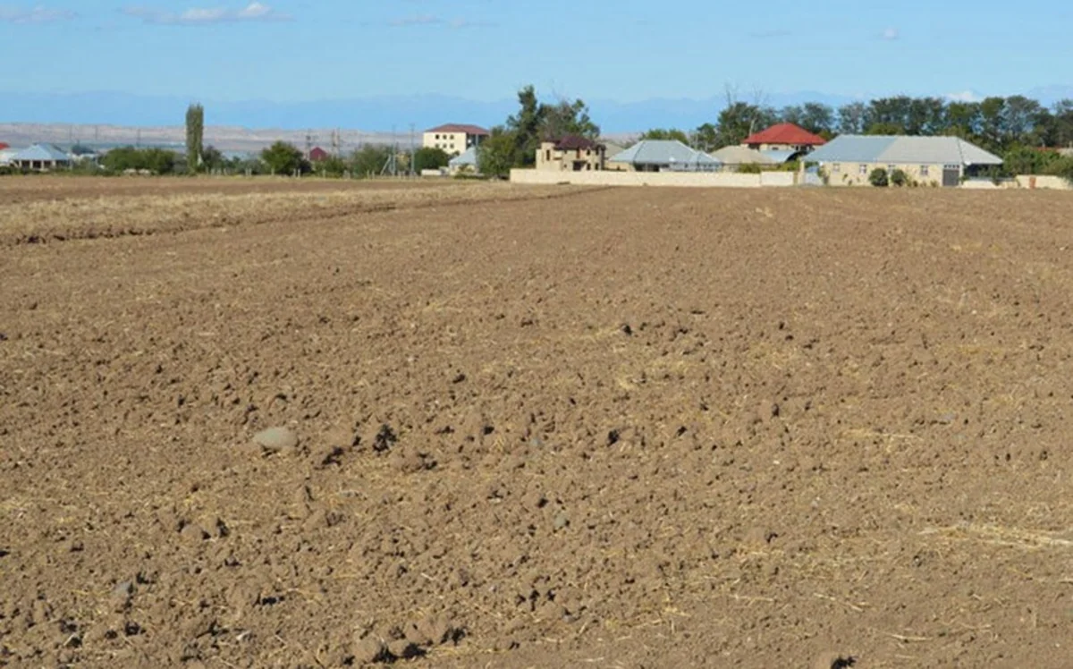 Bələdiyyələrin qanunsuz satdığı torpaqlardan 13 089 hektarı geri qaytarılıb