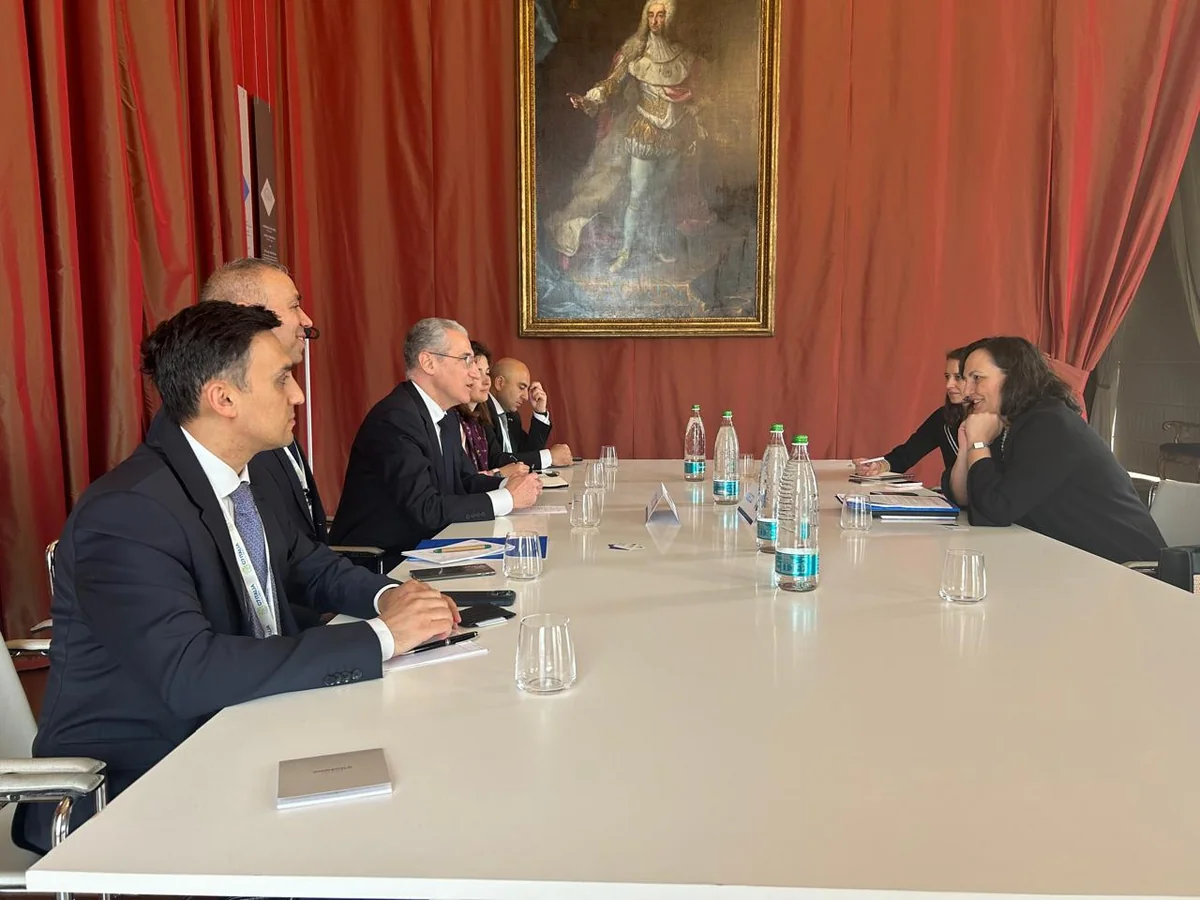 COP29 team, OECD Deputy Secretary-General discuss climate finance