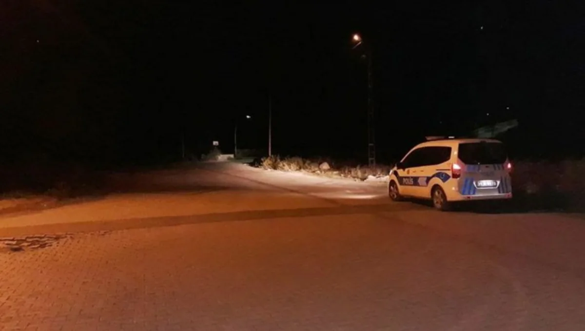 Türkiyədə silahlılar jandarmlara hücum edib, xəsarət alan var