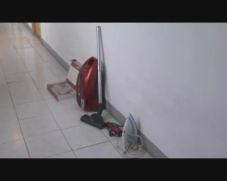 Balakəndə evlərdən və mağazadan oğurluq edən iki dəstə saxlanılıb - FOTO