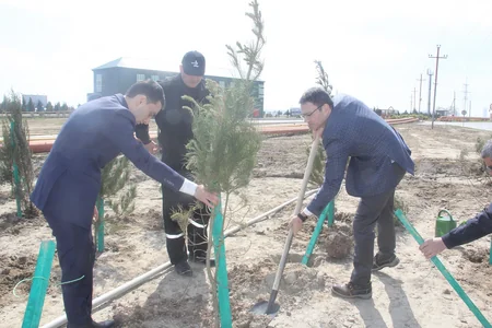 Balaxanı tullantı poliqonunda 1000 ədəd ağac əkilib - FOTO