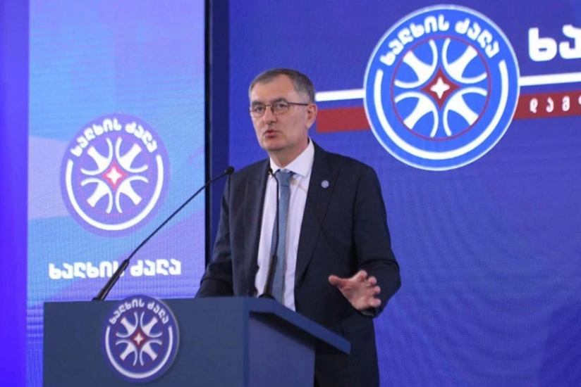Gürcüstan parlamentinin müxalifət tərəfindən vitse-spikeri məlum olub
